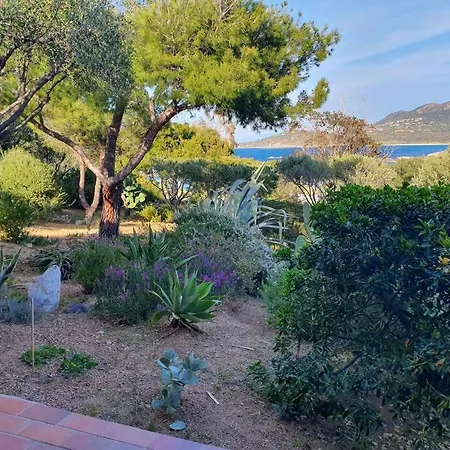 Appartement Bord De Mer